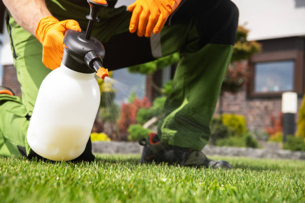 Reliable Strawberry, CA Pest Control Solutions