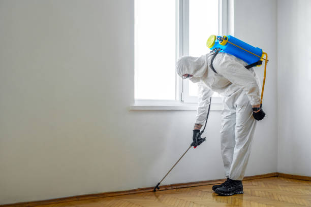 Best Ant Control Services  in Strawberry, CA