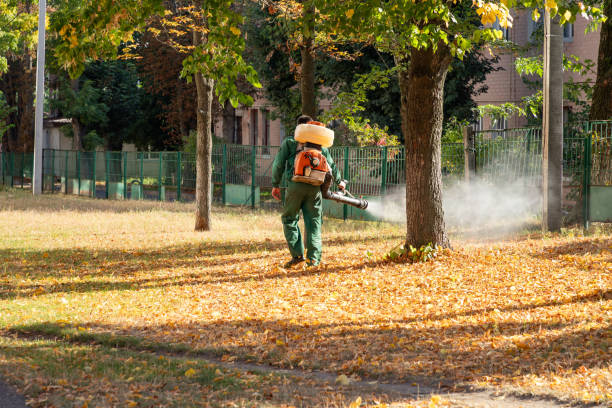 Best Exterminator Services  in Strawberry, CA