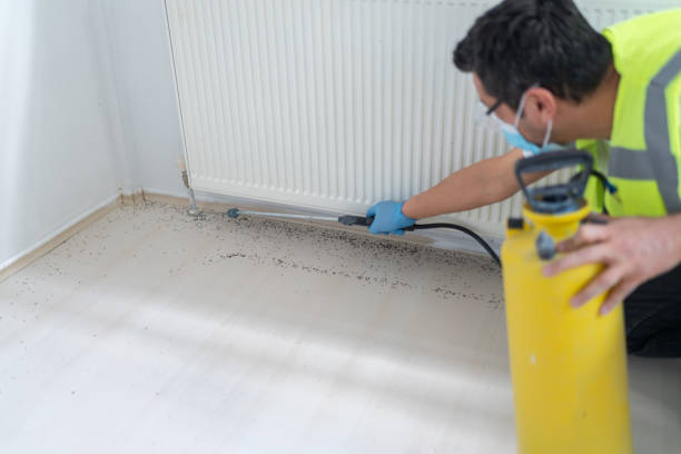 Best Pest Prevention Services  in Strawberry, CA